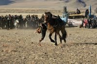 3 mongolie adelaar festival