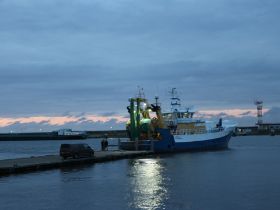 IMG_8940.JPG